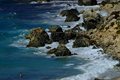 DSCF1264