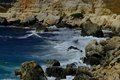 DSCF1261